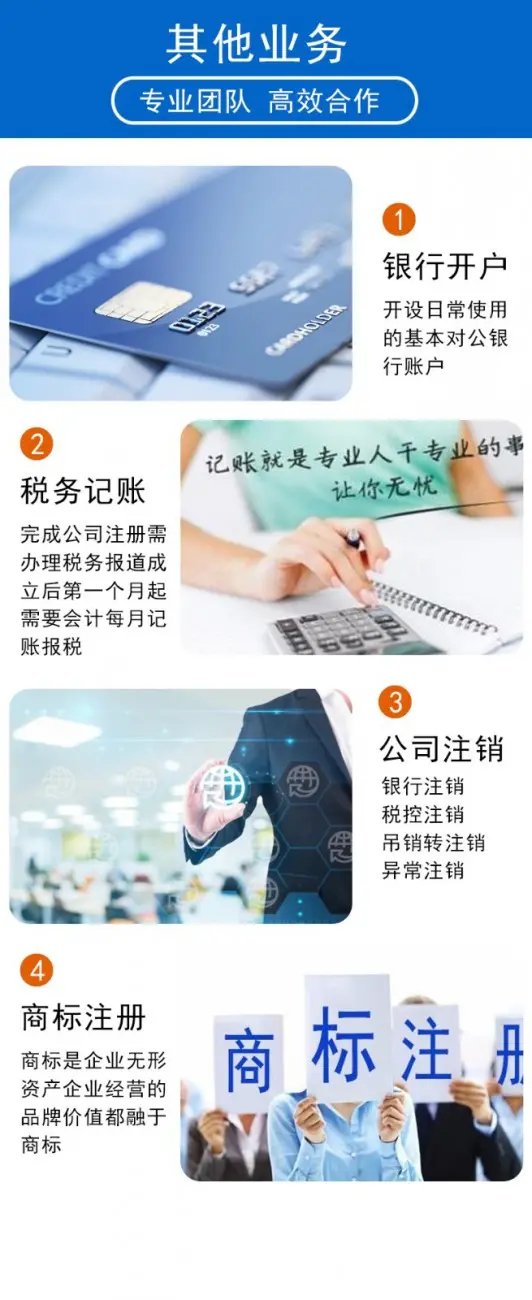 企业注册与财税服务全指南 从内资公司到集团公司的全流程解析